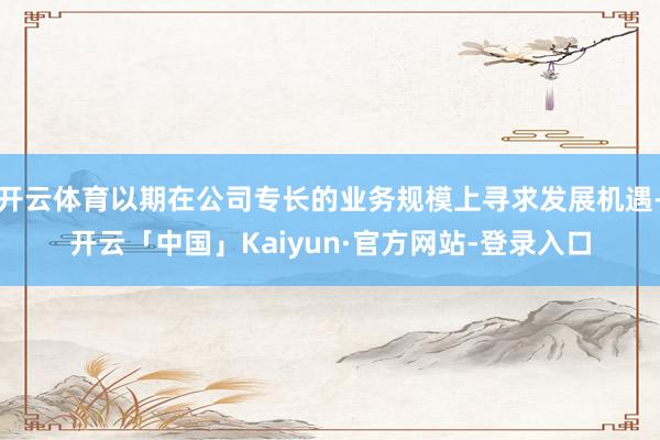 开云体育以期在公司专长的业务规模上寻求发展机遇-开云「中国」Kaiyun·官方网站-登录入口