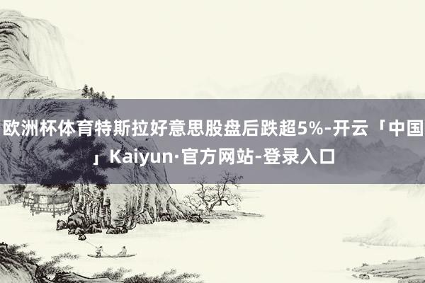 欧洲杯体育特斯拉好意思股盘后跌超5%-开云「中国」Kaiyun·官方网站-登录入口